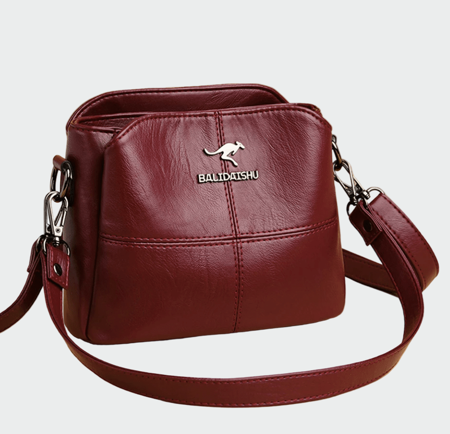 Bolsa de couro elegante